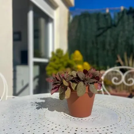La Caracola *